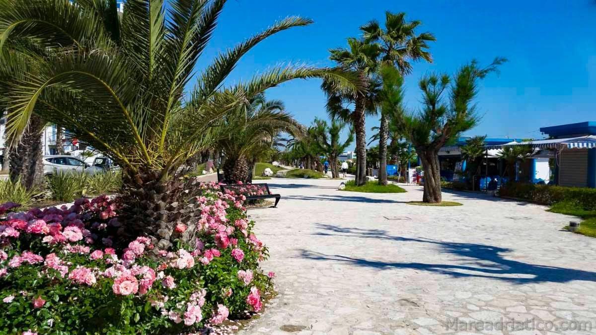 B&B Al Fiume โคลอนเนลลา ภายนอก รูปภาพ